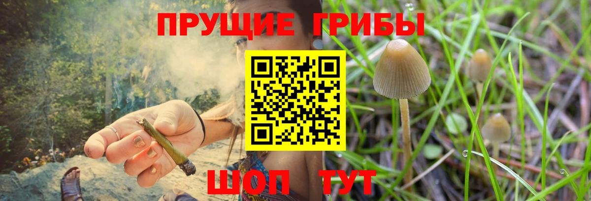 Псилоцибиновые грибы мицелий Нижневартовск